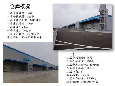 邁科物流 引領(lǐng)海上國際貨物運輸代理的專業(yè)力量