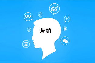 零預(yù)算玩轉(zhuǎn)互聯(lián)網(wǎng)銷售 實(shí)用策略與技巧