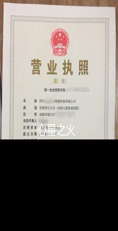 青羊區(qū)營業(yè)執(zhí)照代辦 專業(yè)、高效、省心的商務代理服務指南